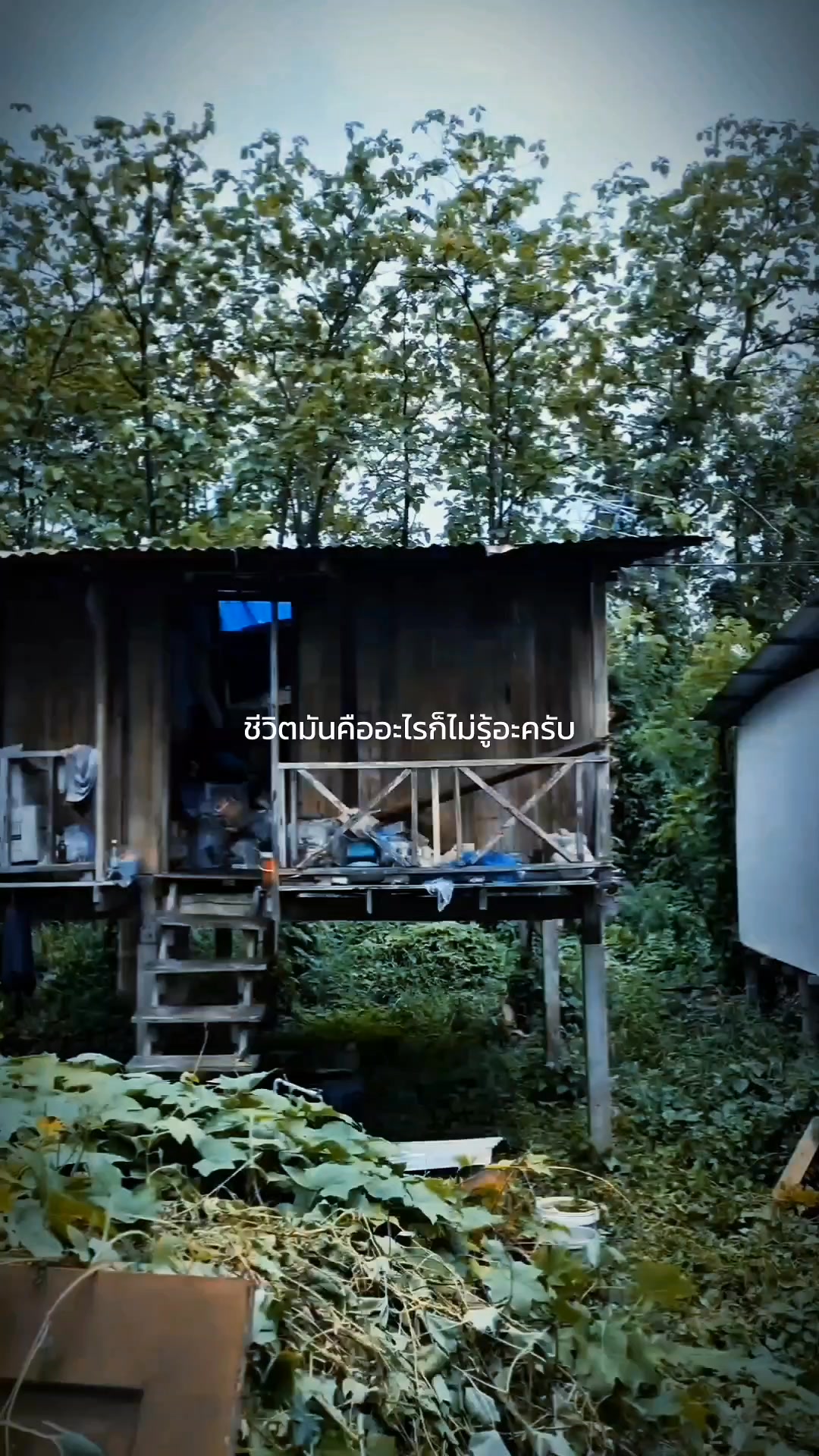 ไม่ทอดทิ้งกันในวันยากลำบาก! 🤝 นครพิษณุโลกเร่งเยียวยาผู้ประสบวาตภัย