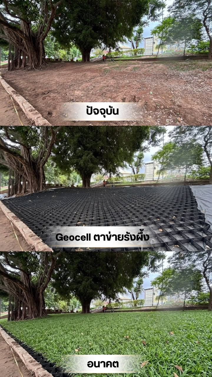 เทศบาลนครพิษณุโลก เร่งแก้ปัญหาดินสไลด์สวนชมน่านฯ นำเทคโนโลยี "Geocell ตาข่ายรังผึ้ง" ล็อกหน้าดินรับมือฤดูฝน
