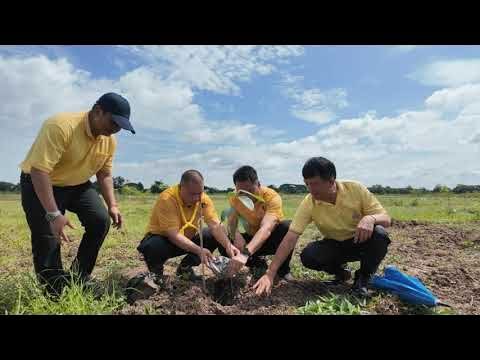 จังหวัดพิษณุโลก จัดกิจกรรมปลูกต้นไม้เฉลิมพระเกียรติพระบาทสมเด็จพระเจ้าอยู่หัว เนื่องในโอกาสวันเฉลิมพระชนมพรรษา 28 กรกฎาคม 2569 ณ บึงทุ่งโสกา